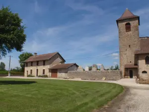 Eglise de Saint-Romain-de-Jalionas
