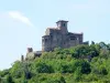 Saint-Romain-le-Puy - Guida turismo, vacanze e weekend nella Loira