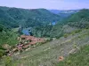 Saint-Rome-de-Tarn - Guía turismo, vacaciones y fines de semana en Aveyron