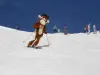Mascotte Sorlinette à skis