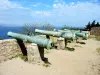 Les canons de la citadelle (© J.E)