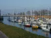 The marina