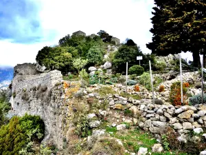 古代中世纪村庄的北墙和废墟（©J.E）
