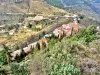 Panorama from the ruins of the castle (© JE)