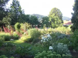 Villa Park Burrus - The garden of aromatic