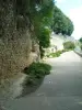 崖