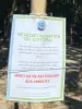 Spiaggia a Sainte-Luce - Vegetazione della costa