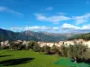 Sainte-Lucie-de-Tallano - Guide tourisme, vacances & week-end en Corse-du-Sud