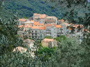 Vista dal sentiero del patrimonio (© Nepita)