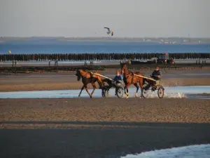 Strand Utah Beach Freizeitstatte In Sainte Marie Du Mont