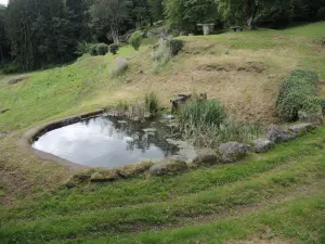 Égua construída sob a fonte Saint Colomban (© J.E)