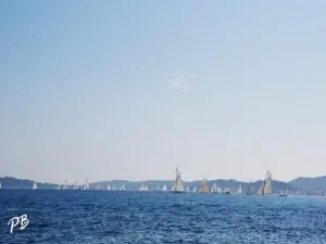 Régate - Les Voiles de Saint-Tropez