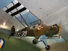 Musée Airborne