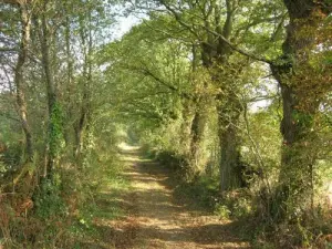 Small schattigen Weg der Sainte-Pazanne