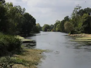 Le Thouet à Blanchard