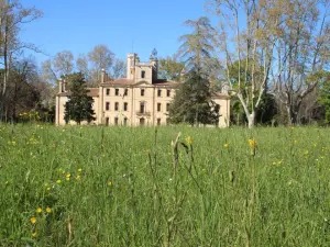 View of the castle