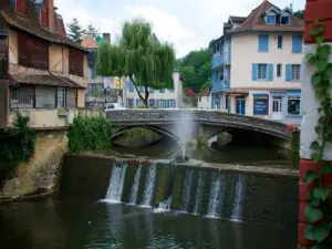 Saleys il fiume che attraversa la città