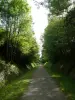 vialetto che va dal verde al Salies-de-Béarn Escos