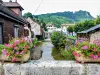 La Furieuse, view downstream from the bridge rue de la Mairie, in Bracon (© JE)