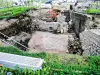 グレイの井戸の考古学的発掘調査(© J.E)