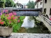 La Furieuse, view upstream of the bridge, rue de la town hall, in Bracon (© JE)