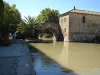 Village de Sallèles-d'Aude (© Frantz)