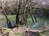 Gouffre de Lantouy - Site naturel à Salvagnac-Cajarc