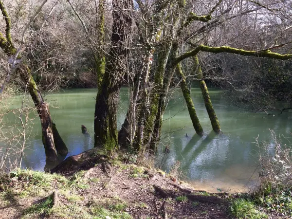 Abgrund von Lantouy - Naturstätte in Salvagnac-Cajarc