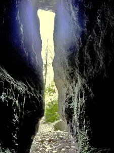 Entrada para a caverna Baume, vista de dentro (© Jean Espirat)