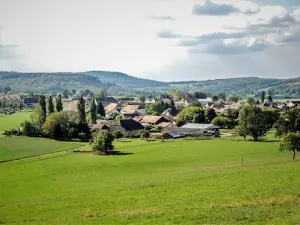 Sancey-le-Grand, visto desde la carretera de Surmont (© J.E)