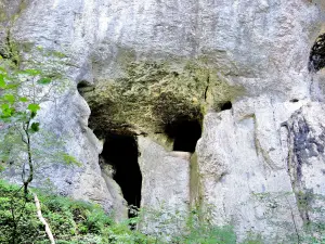 Pórtico de la cueva de Baume (© Jean Espirat)