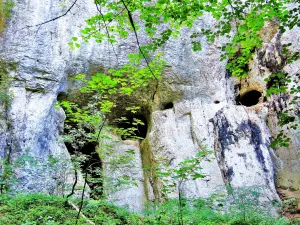Pórtico de la cueva de Baume (© Jean Espirat)