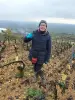 Sur les pas du vigneron, le travail du vigneron