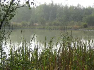 Pond auf Morteru