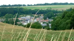 Ver Sapogne-sur-Marche
