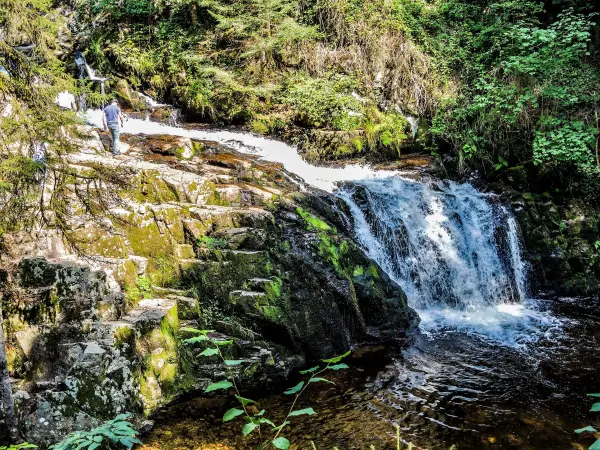 Sapois - Führer für Tourismus, Urlaub & Wochenende in den Vosges