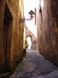 calle pequeña en el viejo Sarlat