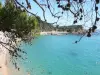 Conca Beach, from hiking the lighthouse Senetosa