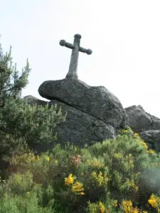 País de Saugues: terra de granito