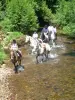 Descubrimiento de los paisajes de Gévaudan a caballo