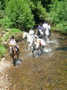 Discovery of the landscapes of Gévaudan on horseback