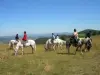 Passeio a cavalo