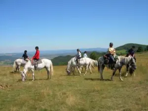 Passeio a cavalo