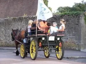 Discover Saulieu Kutsche mit Pferden angetrieben Nelly