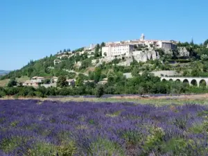 Sault - 観光、ヴァカンス、週末