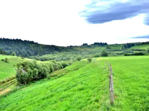 Narse Espinasse, vista sul versante nord (© J.E)