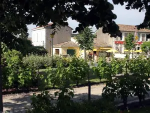 Place de la Mairie