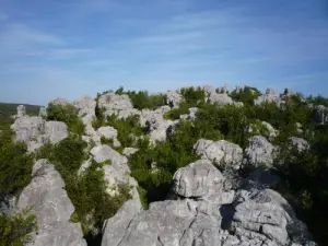 Mer des Rochers