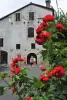 Flowers and house