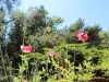 Jardín Botánico (Región © Oficina de Turismo Saverne)